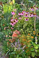 Herb bed with Calendula officinalis, Tagetes tenuifolia, Echinacea 'Magnus', Origanum vulgare, Salvia verticilata, Allium schoenoprasum and Dahlia 'Topmix red'.