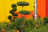 Cloud topiary against colourful acrylic wall pannelling with plants including Lilium, Crocosmia and Achillea.  Journey of Life garden - RHS Hampton Court Palace Flower Show 2017