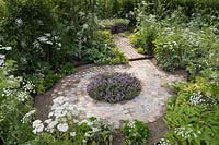 Thymus bed on circuitous path laid with porphyry setts surrounded by Ammi visnaga and Ammi majus. The Health and Wellbeing Garden, RHS Hampton Court Palace Flower Show, 2018. 