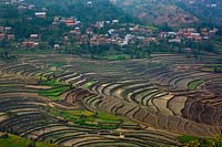 Cultivation terraces at Balthali village 40 kilometres from Kathmandu Nepal