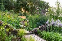 A wooden path and steps lead to a garden building. Mixed borders are planted with Phlomis russeliana, hosta, ornamental grasses  and Campanula lactiflora