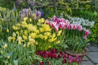 Spring bulbs in containers at Great Dixter in May