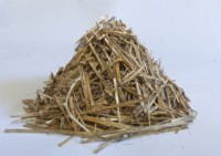 A pile of straw mulch on a white background