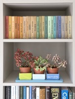 House interior bookshelves with Fittonia verschaffeltii (nerve plants) houseplant and reference books including the Observer series