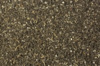 A close up of a sample of sandy soil