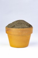 A sample of sandy soil in a terracotta pot