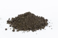 A sample of loam soil