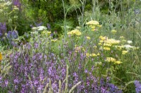 Iconic Horticultural Hero Garden by Tom Stuart-Smith - RHS Hampton Court Palace Festival 2021