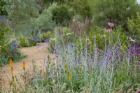 Perovskia 'Blue Spire' with Kniphofia 'Mango Popsicle' and Echinacea pallida in the Iconic Horticultural Hero Garden by Tom Stuart-Smith - RHS Hampton Court Palace Festival 2021