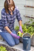 Woman pouring liquid plant food into cap