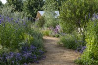 Iconic Horticultural Hero Garden. A Climate Resilient Perennial Meadow. Hampton Court Flower Festival 2021. A path leads through prairie style beds of A path leads through prairie style beds of agastache, catmint, salvias and grasses.