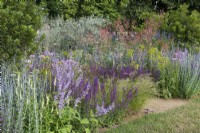  Iconic Horticultural Hero Garden. A Climate Resilient Perennial Meadow. Hampton Court Flower Festival 2021. Border planted with salvia, agastache, foxglove, bupleurum, macleaya, perovskia,  echinacea and ornamental grasses.