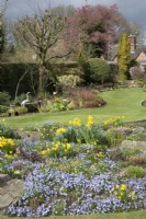 View over bed with Chionodoxa and Narcissus to mixed border with shrubs and small pond