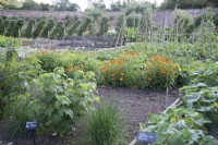 Kitchen garden at Helmsley Walled Garden