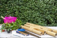 Bamboo, hand saw, hammer, chisel, masking tape, pencil, compost and a variety of small plants laid out on a table