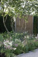 In The Viking Friluftsliv Garden, a multi stemmed Amelanchier is underplanted with flowers and grasses- Designer: Will Williams -Sponsor: Viking