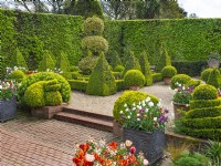 The Dutch Garden with clipped box topiary and hornbeam hedges at Old Vicarage, East Ruston