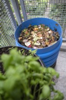 Balkonton - Balcony Barrel - composting system. Here the planted pot has been removed to show wormery with kitchen waste on top of liquid reservoir