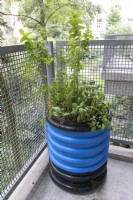  Balkonton - Balcony Barrel - composting system. A planted pot grows above a blue wormery with kitchen waste, underneath is a reservoir to collect liquid.