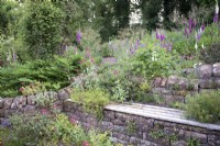 Stone retaining wall with Centranthus ruber - Red Valerian - and wooden shelf 