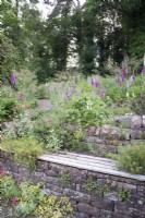 Stone retaining wall with bench and Centranthus ruber - Red Valerain - and ferns. Beyond flowerbed with Digitalis, Geranium and Stipa gigantea.  