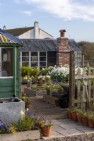 Outbuildings around a gravel area with raised bed full of spring bulbs.