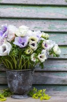 Bouquet of Anemone Pastel Mix and Panda in galvanised bucket 
