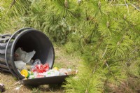 Tipped over garbage can with spilled recyclable paper and plastic drinking cups, packaging materials in a public park, Quebec, Canada