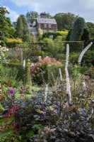 Actea simplex 'Black Negligee' in front of Large sloping garden divided with terracing and hedges in late summer