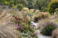 Late summer garden. Planted with Grasses- Chionachloa rubra, Anemanthele lessoniana, Calamagrostis, Persicaria  amplexicaulis 'Dikke Floskes'