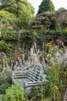 Lichen covered bench surrounded with spent seed heads of Chamaenerion angustifolium 'Album'