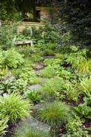 Informal pathway through a woodland garden planted with shade lovers including ferns, Carex remota and hostas in July