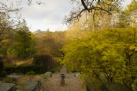The view on an early spring morning down a central gravel path along steps surrounded by Beech hedge - Fagus sylvatica and  Acer palamtum 'Orange Dream', a Japanese maple at High Moss