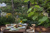 The Parsely Box Garden, is designed for outdoor entertaining, the table on the terrace enclosed by espalier fruit trees, Malus 'Evereste' and Prunus lusitanica which are underplanted with herbs, courgettes and Rudbeckia fulgida Goldsturm. 