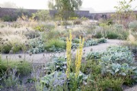 View of the Mediterranean area in the contemporary walled Paradise Garden, in Autumn. Planting includes Stipa lessingiana, Verbascum, Stachys byzantina â€˜Big Earsâ€™ and Allium sphaerocephalon 