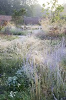 View of the Mediterranean area in the contemporary walled Paradise Garden, in Autumn. Planting includes Stipa lessingiana, Catananche caerulea Rosa Glauca, Stipa gigantea, Calamintha nepeta 'Blue Cloud', Melica ciliata and Cotinus 'Flame'