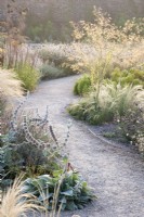 View of the Mediterranean area in the contemporary walled Paradise Garden, in Autumn. Planting includes Stipa lessingiana, Stipa gigantea, Verbascum and Stachys byzantina â€˜Big Earsâ€™ 