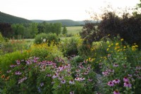 Echinacea purpurea, Achillea - Yarrow -, Kniphofia and Heliopsis helianthoides - False Sunflower - in a bed with views to distant hills.