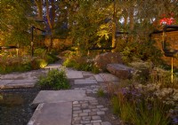 Colourful lighting accentuating perennials and trees at night in the The M and G Garden.