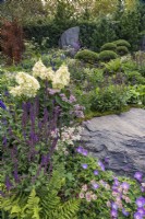 Mixed pastel planting amid rocky outcrops in late summer, including Hydrangea, Salvia nemerosa 'Caradonna', Veronica longifolia, Astrantia major 'Abbey Road', Geranium 'Rozanne', and a white form of Achillea. Bodmin Jail: 60degrees East - A Garden between Continents.