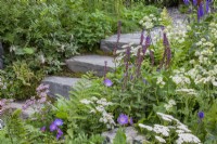 Plants soften the sides of steps carved from rock leading up a gravel pathway. Including Salvia nemerosa 'Caradonna', Veronica longifolia, Astrantia major 'Star of Billion', Geranium 'Rozanne', and a white form of Achillea. Bodmin Jail: 60degrees East - A Garden between Continents.