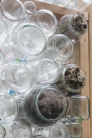 Nesting materials for birds are tucked into outward facing glass jars in recycled greenhouse walls. Bamboo pieces offer habitat for pollinating insects