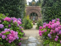 Mop head pink hydrangeas in border and brick archway leading to the sunken garden East Ruston Old Vicarage Norfolk