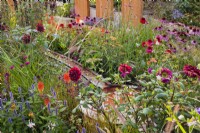 Water rill and small pool amongst colorful planting with Achillea Walther Funke, Echinacea 'Eccentric', Kniphofia, Dahlia, Panicum virgatum, Agastache and Verbena bonariensis. Finding our Way: An NHS Tribute Garden at RHS Chelsea Flower Show 2021 