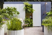 Hot Tin Roof Garden. Corrugated steel cream painted circular containers, including small pool. Shade-loving planting includes Fatsia japonica, Carex 'Ice Dancer', Geranium 'Rozanne', with Pontederia lanceolata in the pond. Ferns at the back include Polypodium vulgare and Dryopteris erythrosora 'Brilliance'.