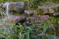 Psalm 23 Garden. Naturalistic cascade of water from granite, worn rocks in drystone wall into tranquil pool. Featuring Eupatorium maculatum
'Riesenschirm'.