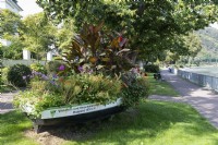 Garden feature - boat adorned with amongst others canna along the quayside of Boppard, Germany