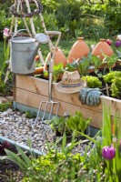 Vegetable seedlings and tools.