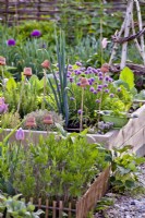 Raised bed with herbs and vegetables.