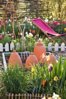 Terracotta forcers in vegetable garden in spring.